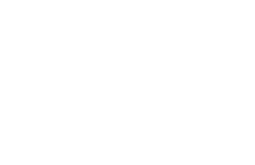 disabled icon